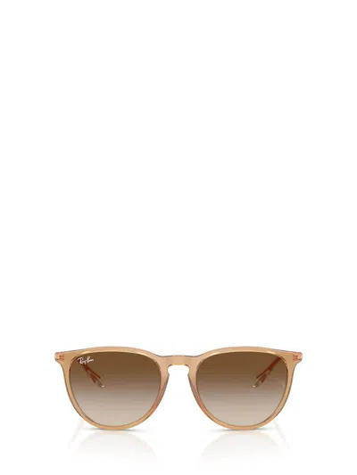 Ray Ban Ray-ban Sunglasses In Brown