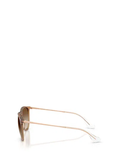 Ray Ban Ray-ban Sunglasses In Brown