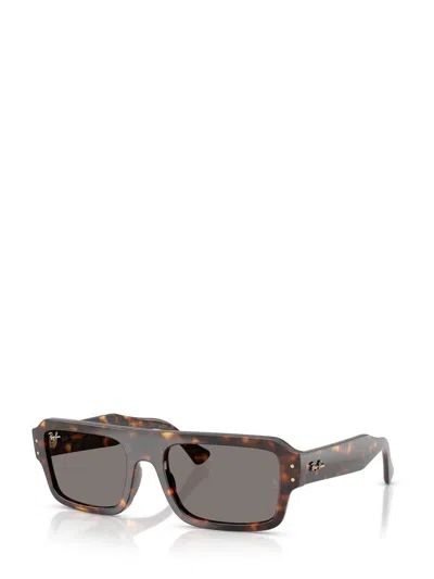 Ray Ban Ray-ban Sunglasses In Brown