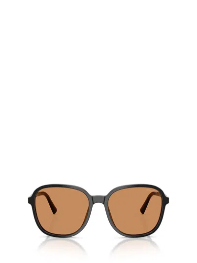 Miu Miu Eyewear Sunglasses In Brown