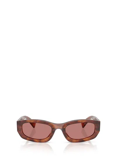Miu Miu Eyewear Sunglasses In Brown