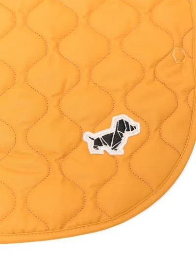 Poldo Dog Couture Sunny Summit - Two Pieces Dog Coat In Yellow