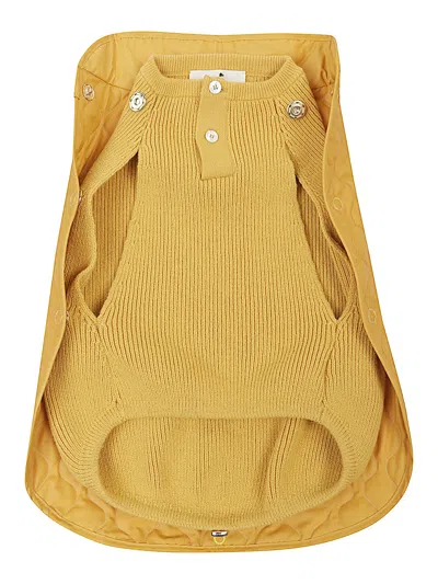 Poldo Dog Couture Sunny Summit - Two Pieces Dog Coat In Gold