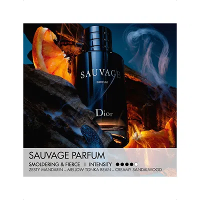Dior Mens Sauvage Limited Edition Case Eau De Toilette 100ml