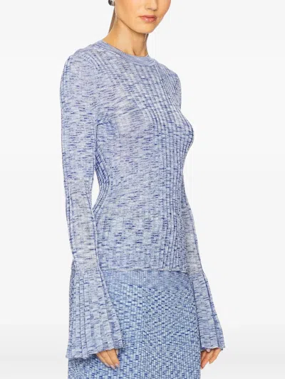 Zimmermann Mouline Long-sleeves Top In Blue