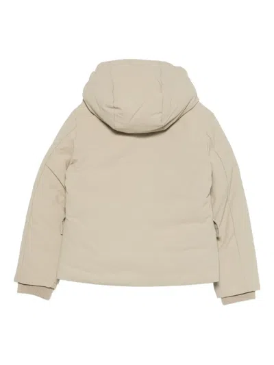 Save The Duck Hooded Padded Jacket In Neutral