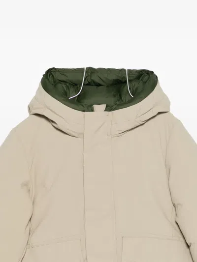 Save The Duck Hooded Padded Jacket In Neutral