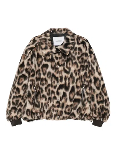 Halfboy Animal-print Bomber Jacket In Animal Print