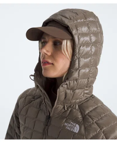 The North Face Women's Thermoball Hooded Parka Jacket In Brown