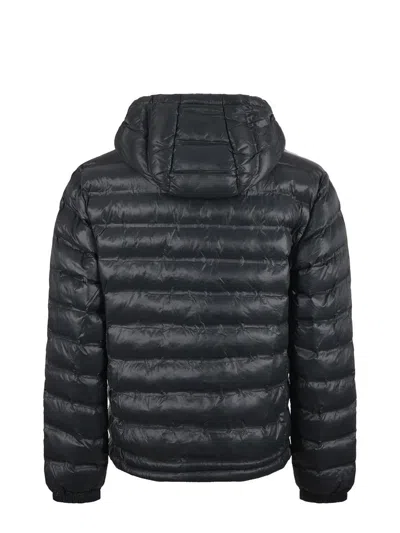 Blauer Usa Coats In Gray