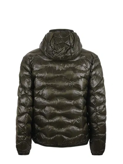 Blauer Usa Coats In Green