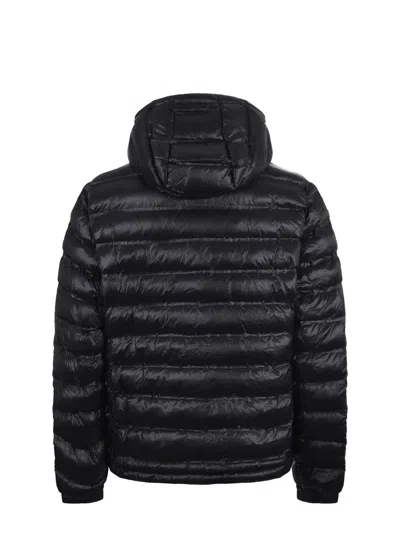 Blauer Usa Coats In Black