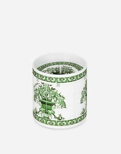 Dolce & Gabbana Sicilian Neroli And Lemon Scented Candle (380g) In Green