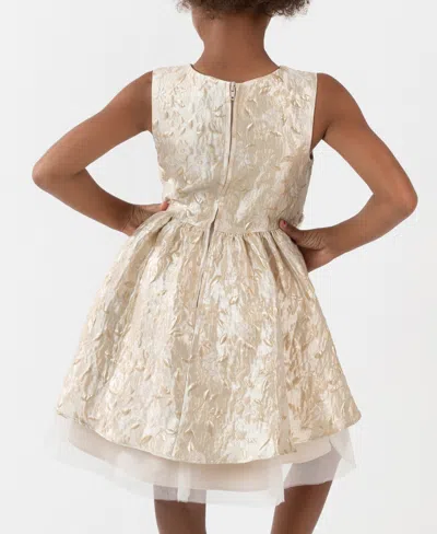 Rare Editions Girls 2t-6x Brocade Sleeveless Dress In Gold
