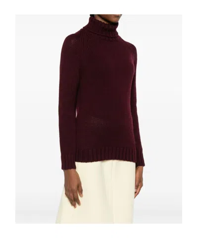 Baserange Turtleneck Knitted Sweater In Brown
