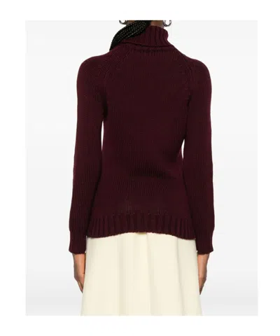 Baserange Turtleneck Knitted Sweater In Brown