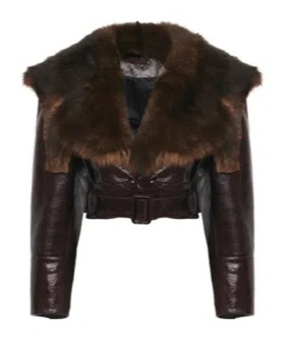 Chloé Shiny Leather Crop Moto Jacket With Removable Lamb Shearling Collar In Brown