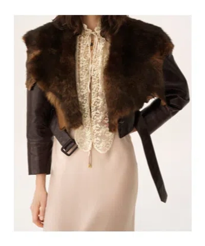 Chloé Shiny Leather Crop Moto Jacket With Removable Lamb Shearling Collar In Brown