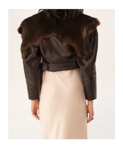 Chloé Shiny Leather Crop Moto Jacket With Removable Lamb Shearling Collar In Brown