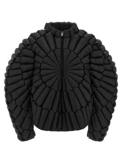 Raxxy Quilted Zip-front Padded Jacket In Black