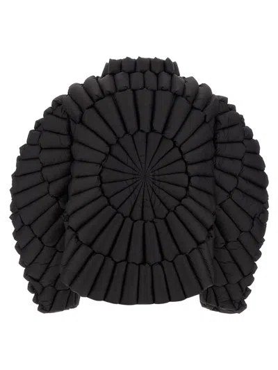 Raxxy Quilted Zip-front Padded Jacket In Black