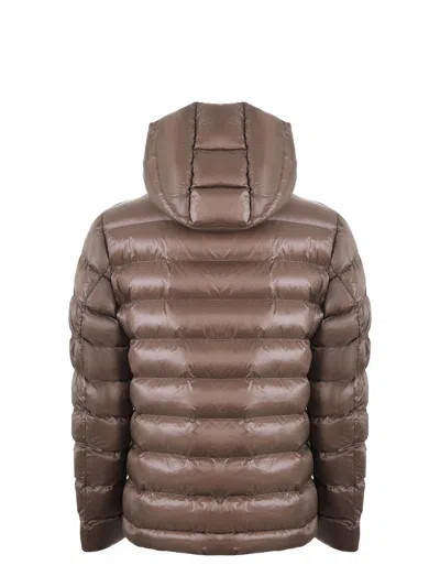 Blauer Quilted Ripstop Nylon Jacket In Brown