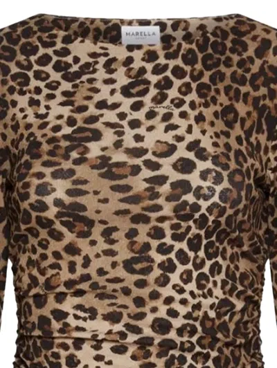 Marella Animal Print Top In Brown
