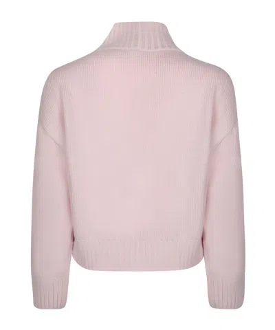 Fabiana Filippi Funnel-neck Sweater In Pink