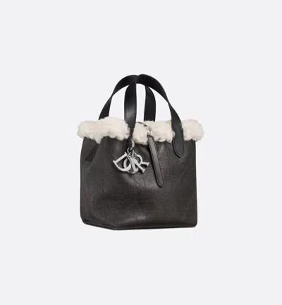 Dior Alps Small  Toujours Vertical Bag In Black