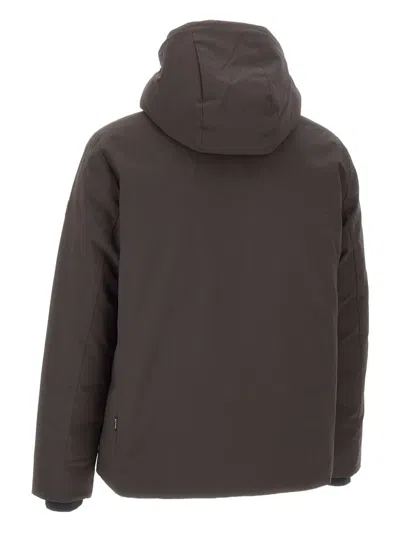 Save The Duck Logo-patch Padded Jacket In Brown