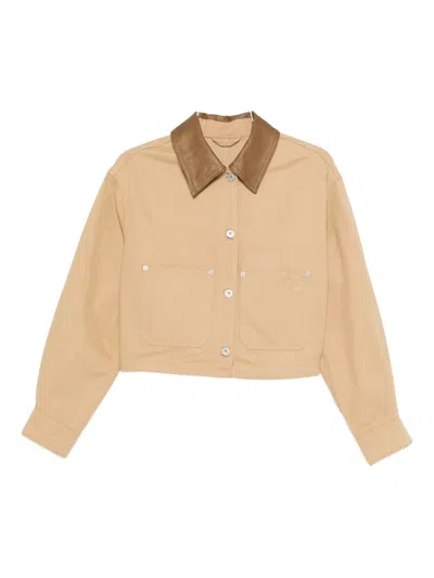 Hugo Boss Contrasting-collar Cropped Jacket In Brown