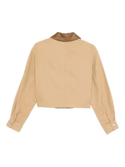 Hugo Boss Contrasting-collar Cropped Jacket In Brown