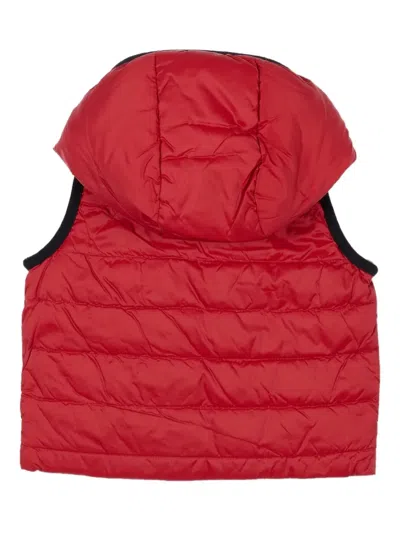 Bosswear Hooded Reversible Gilet In Red