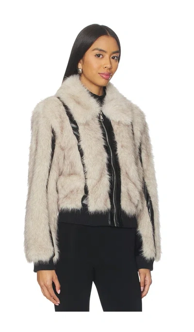 Steve Madden Charmaine Jacket In Multi