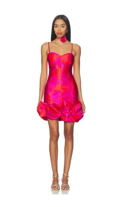 ELOISE È¿·Ä½ È£™ Â€“ Çº¢È‰² & Æ·¡Ç´«È‰². Å°ºÇ � XL (ALSO Â€“ XS, S, M, L, XXL).