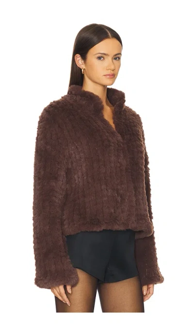 Heartloom Deline Jacket In Brown