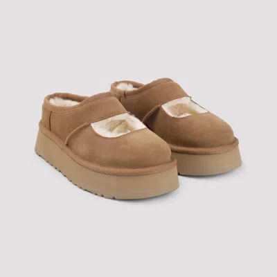 Ugg Suede Slippers With Plush Mutton Lining In Brown