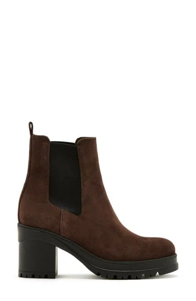 La Canadienne Paxton Waterproof Chelsea Boot In Brown