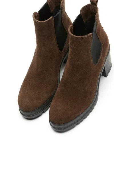 La Canadienne Paxton Waterproof Chelsea Boot In Brown