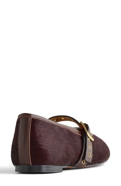 Madewell The Remy Calf Hair Mary Jane Flat In Brown