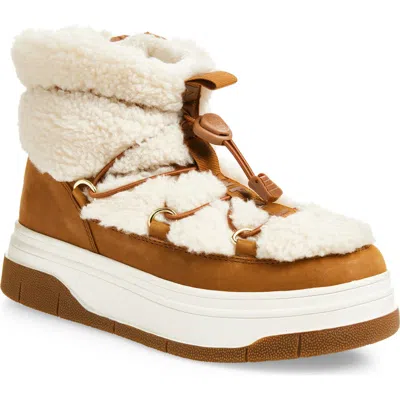 Pajar Janie Waterproof Insulated Platform Boot In Brown