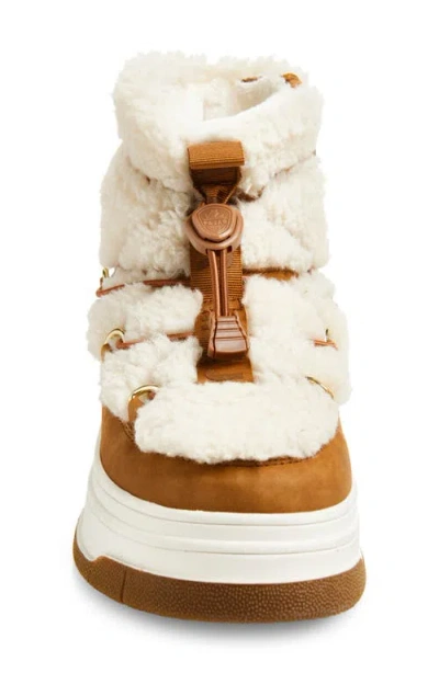 Pajar Janie Waterproof Insulated Platform Boot In Brown