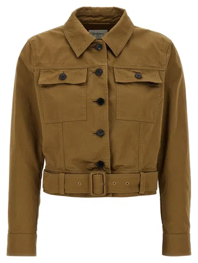 Saint Laurent Short Brown Safari-style Jacket Jackets Brown In Brown