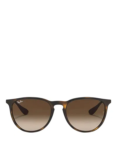Ray Ban Ray-ban Erika Classic Sunglasses In Brown