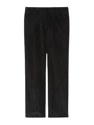 Weekend Max Mara Belt-loop Casual Pants In Multi