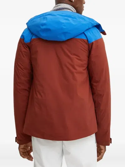 Helly Hansen Colourblock Hooded Jacket In Brown