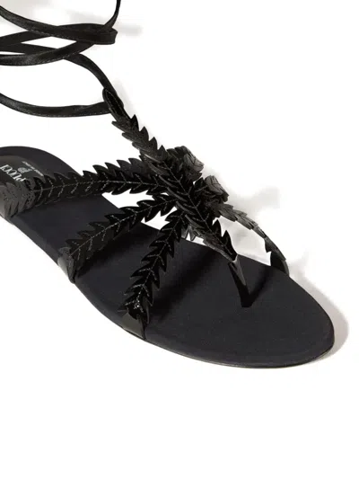 Pucci Feather Embellished Sandals In Black