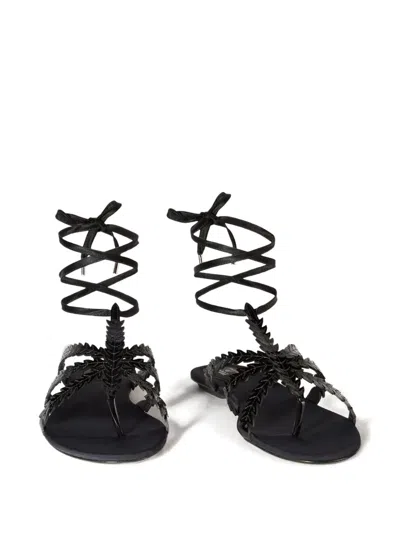 Pucci Feather Embellished Sandals In Black