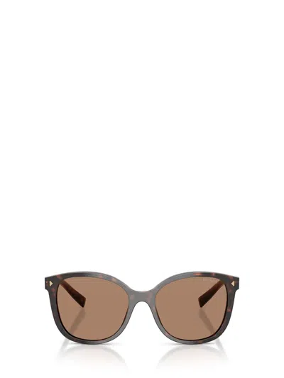 Prada Round-frame Sunglasses In Brown