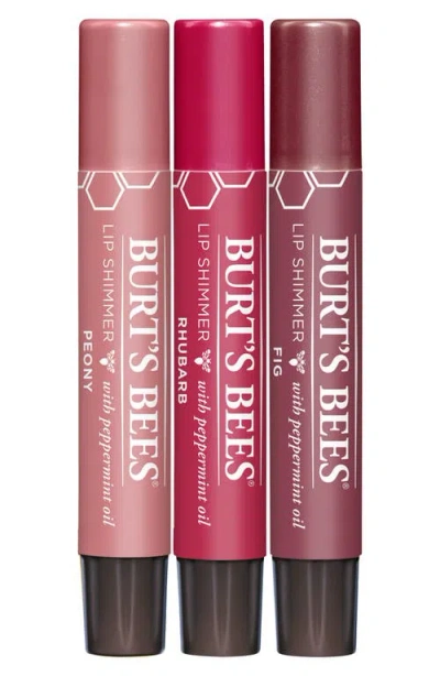 Burt's Bees Kissable Color Warm Collection 3-piece Lip Shimmer Gift Set In Multi